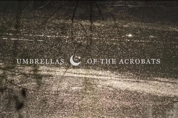 AIDC Awards 'Umbrellas of the Acrobats' At DMZ Docs Industry | AIDC